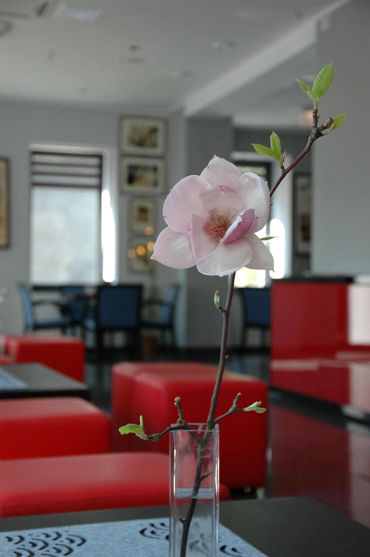 Hotel Opera ทานอฟสเก กูเร ภายนอก รูปภาพ